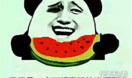 娱乐吃瓜风格是什么意思啊,揭秘“吃瓜群众”的娱乐吃瓜风格