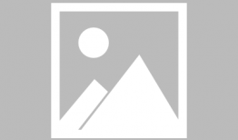 吃网红的瓜在哪里看,全网热议的“吃网红瓜”热门平台大盘点