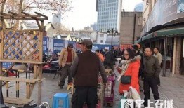 花鸟市场爆料案例视频,视频揭露惊人内幕，揭秘市场乱象