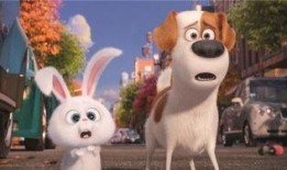 萌宠大机密在线观看,揭秘宠物界的欢乐冒险之旅