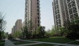 杭州东方郡爆料最新消息,揭秘神秘项目背后的真相