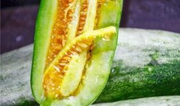 吃网红的瓜在哪里看,全网热议的“吃网红瓜”热门平台大盘点