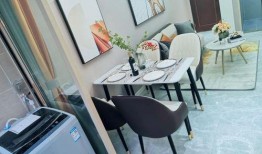 陈先生深圳最新爆料,揭秘深圳最新动态与热点事件