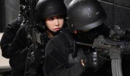 伞兵爆料最新视频大全集,最新视频大全集深度解析