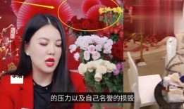 小五明星爆料视频在线观看,揭秘娱乐圈幕后真相