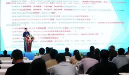 散兵新模型爆料视频大全,全新形象与技能大揭秘