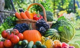 叶哥爆料食物视频大全集,视频大全集带你领略舌尖上的世界