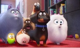 萌宠大机密在线观看,揭秘宠物界的欢乐冒险之旅