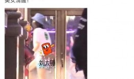 刘大锤爆料宋茜视频播放,引发网友热议