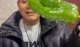 永年网红吃瓜事件视频,揭秘网络舆论背后的真相