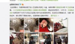 娱乐记者爆料视频大全最新,最新娱乐记者爆料视频大盘点