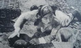 老电影地雷战在线观看,烽火岁月里的英雄传奇