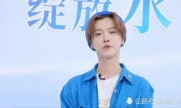 鹿晗少爷爆料视频,独家爆料视频背后的故事