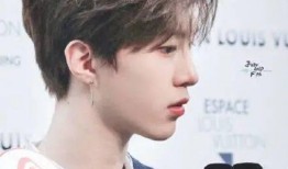 娱乐圈每日爆料大全,揭秘明星幕后故事与热点事件