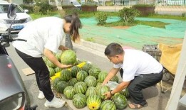 黑网爆料吃瓜视频江苏常州,吃瓜视频揭露惊人内幕