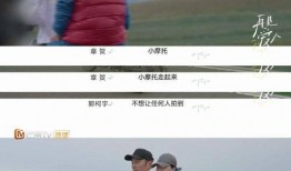 再见爱人爆料视频完整版,夫妻关系背后的真相与抉择