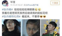 卓伟爆料洪欣老公视频大全,卓伟独家爆料揭露真相