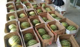 校园吃瓜免费网站,轻松获取校园热点，畅享校园生活乐趣