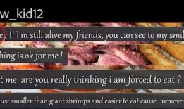 穿越吃瓜第一线免费,揭秘娱乐圈幕后风云