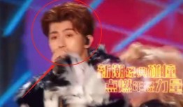 蔡徐坤被爆料阵容视频播放,揭秘背后精彩瞬间