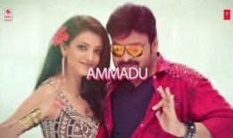 小虎爆料乌鸦视频,真相即将揭晓