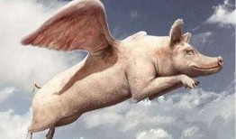 飞猪夫妇最新爆料事件,揭秘背后真相与争议