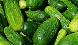 旅游吃瓜视频素材大全免费,揭秘旅游吃瓜视频素材大全